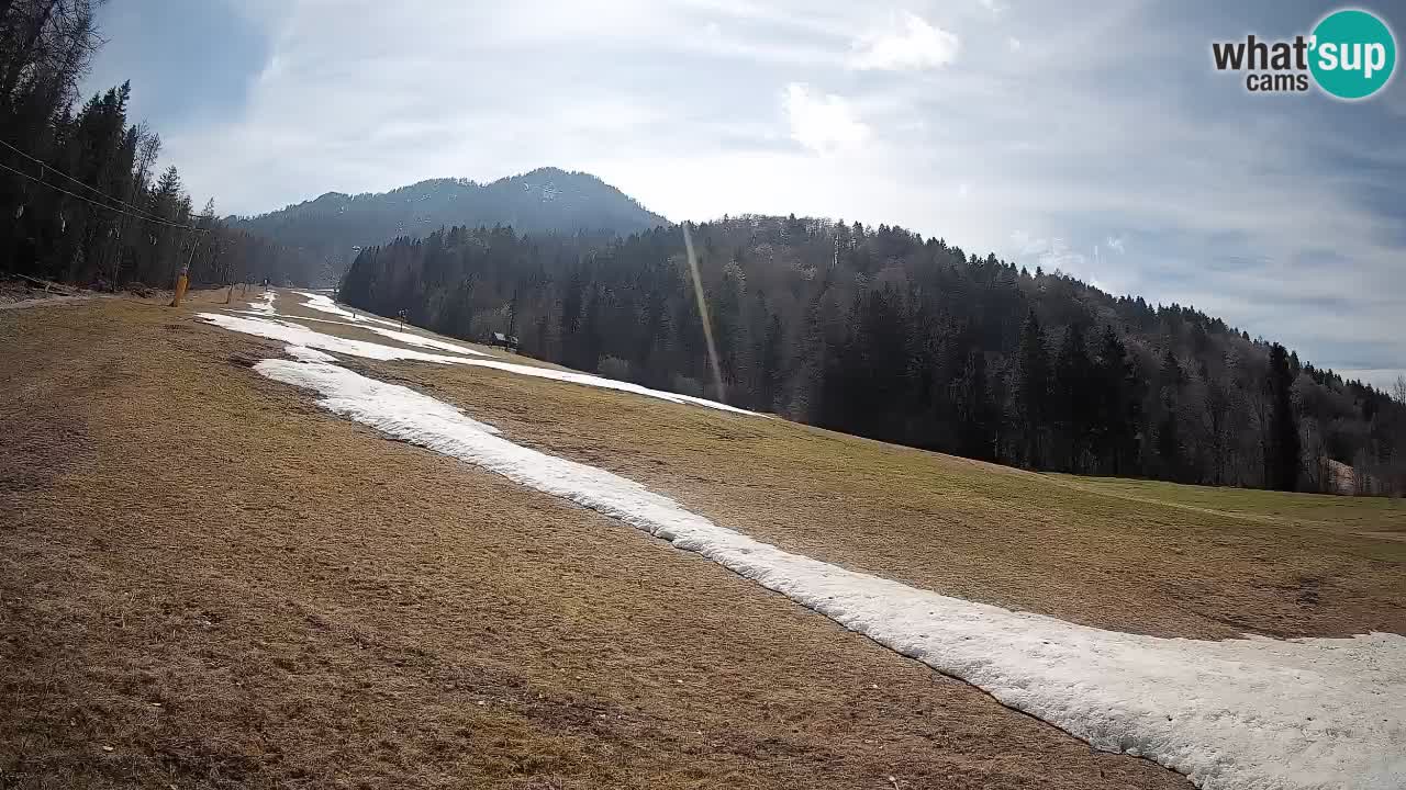 Kranjska Gora Station de ski | Brsnina