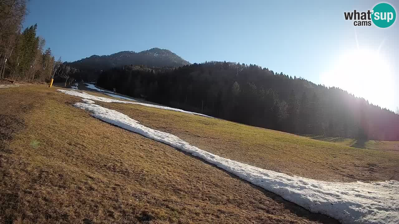 Kranjska Gora SKIJANJE | Brsnina