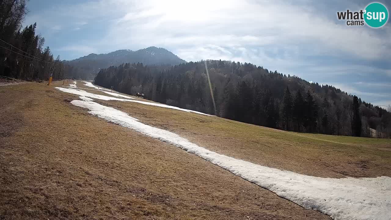 Comprensorio sciistico Kranjska Gora | Brsnina