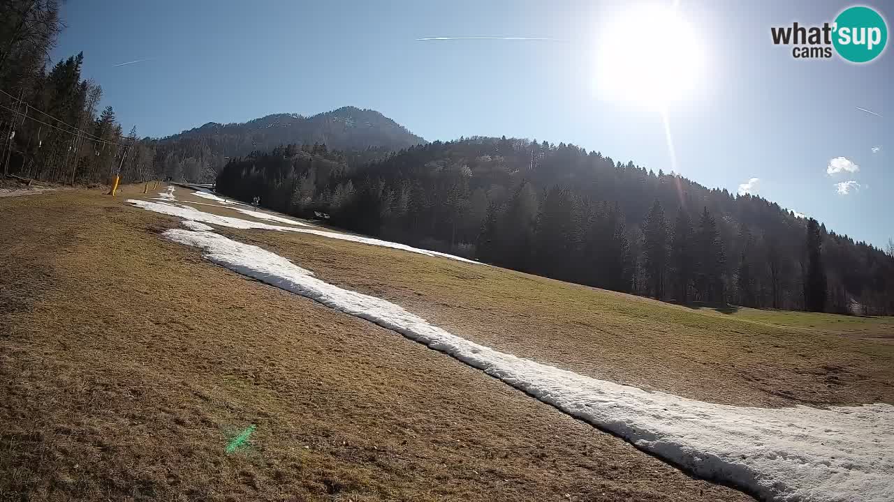 RTC Skigebiet Kranjska Gora | Brsnina