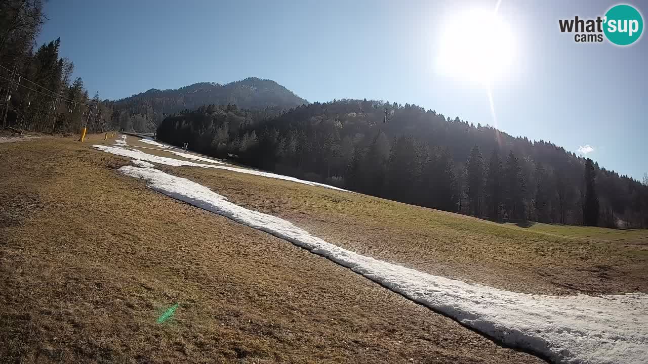 RTC Kranjska Gora | Brsnina