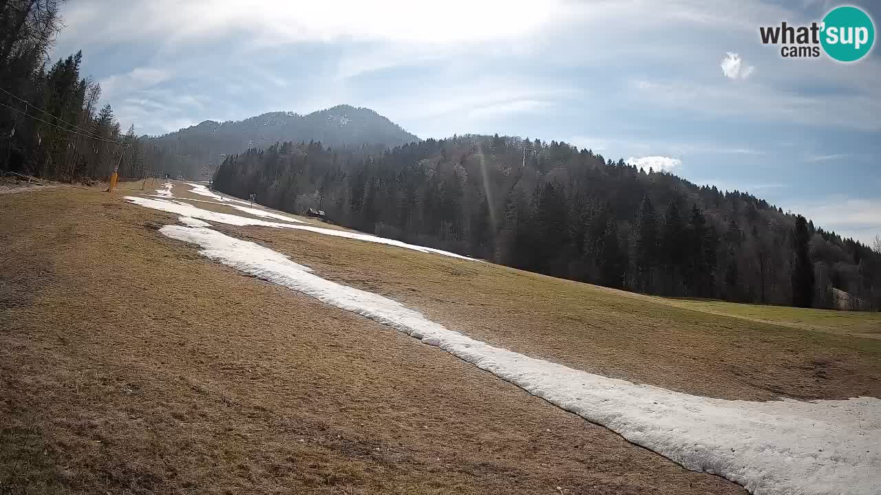 RTC Kranjska Gora | Brsnina