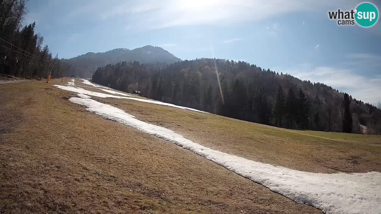 Comprensorio sciistico Kranjska Gora | Brsnina