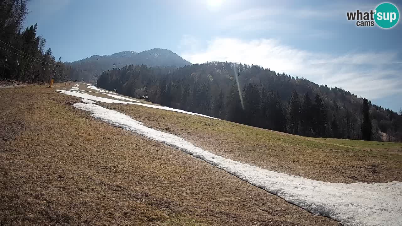 Kranjska Gora SKIJANJE | Brsnina