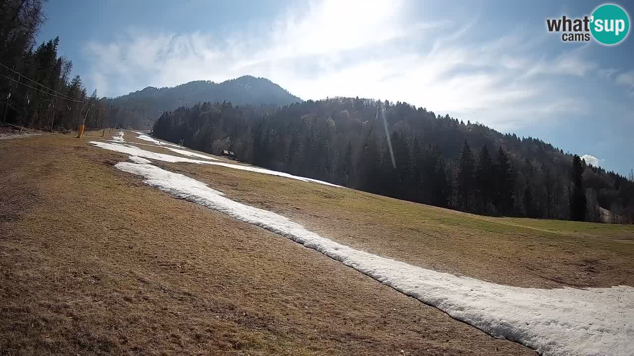 Esquí Kranjska Gora | Brsnina