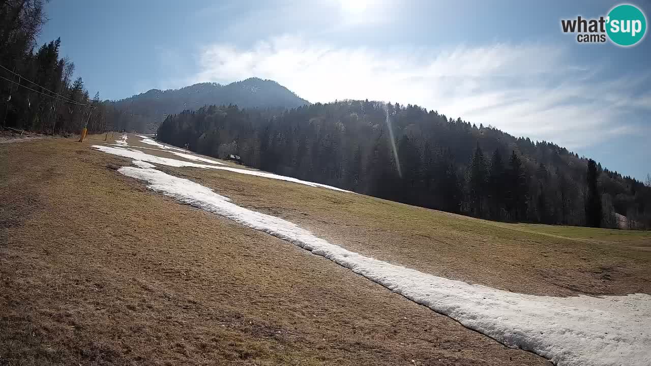 Ski Kranjska Gora | Brsnina