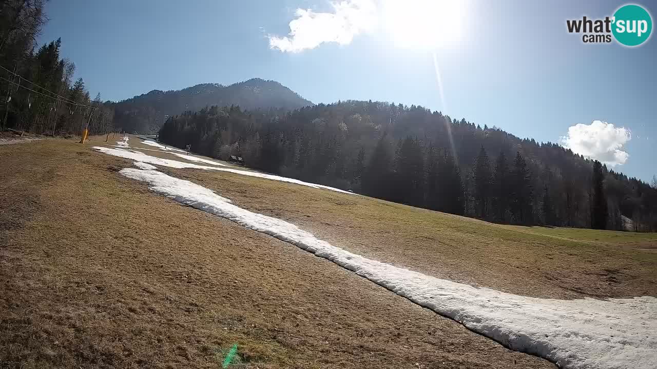 RTC Kranjska Gora | Brsnina