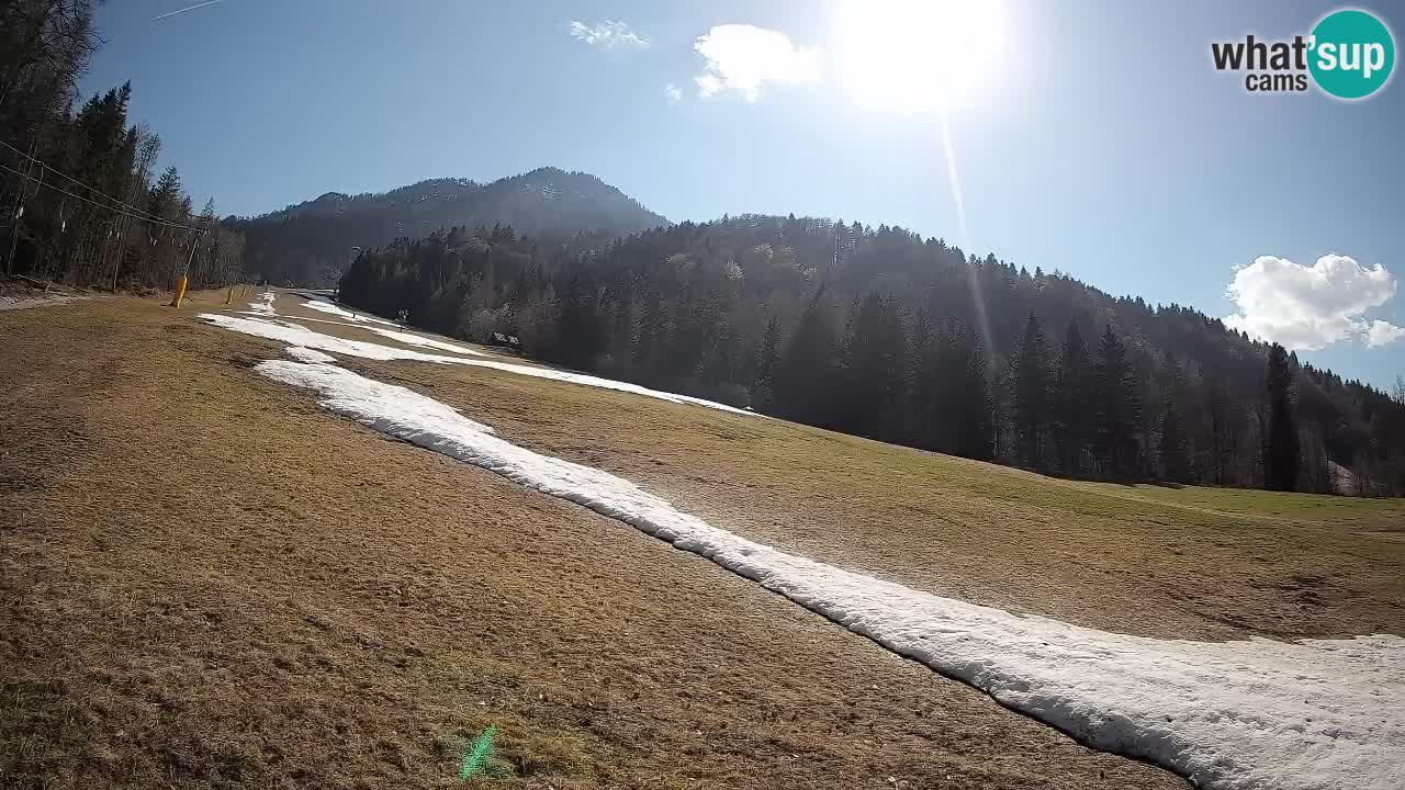 Kranjska Gora Station de ski | Brsnina
