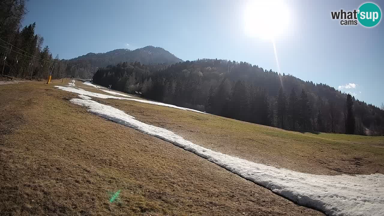 Esquí Kranjska Gora | Brsnina