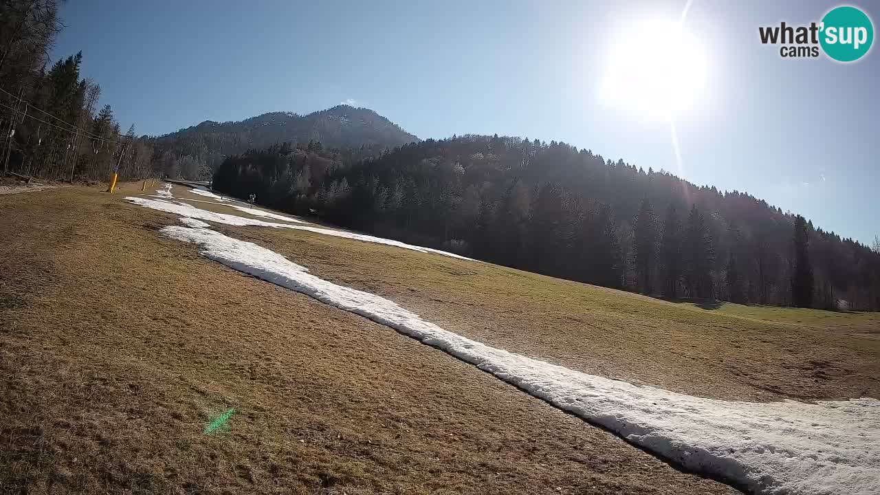 Kranjska Gora Station de ski | Brsnina