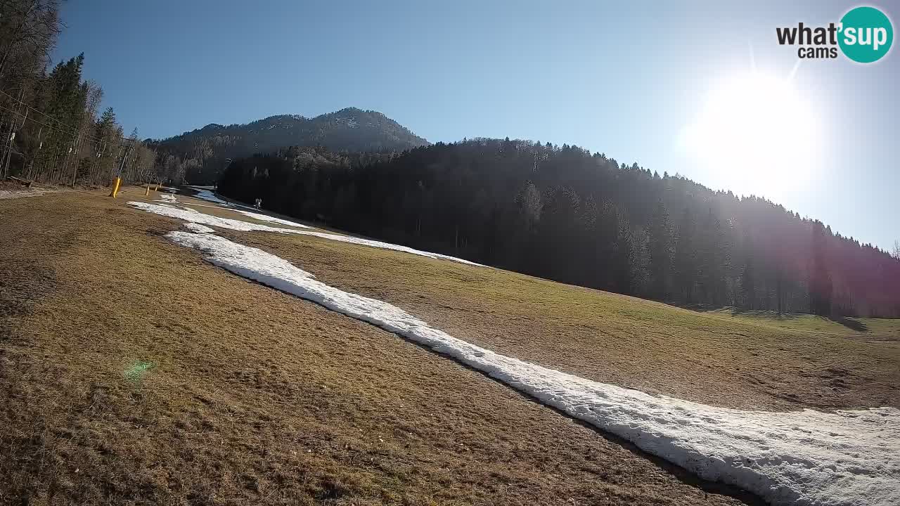 Kranjska Gora SKIJANJE | Brsnina