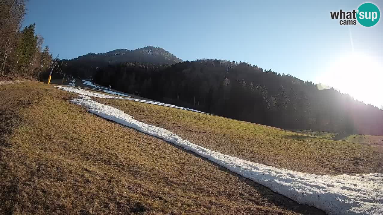 Ski Kranjska Gora | Brsnina