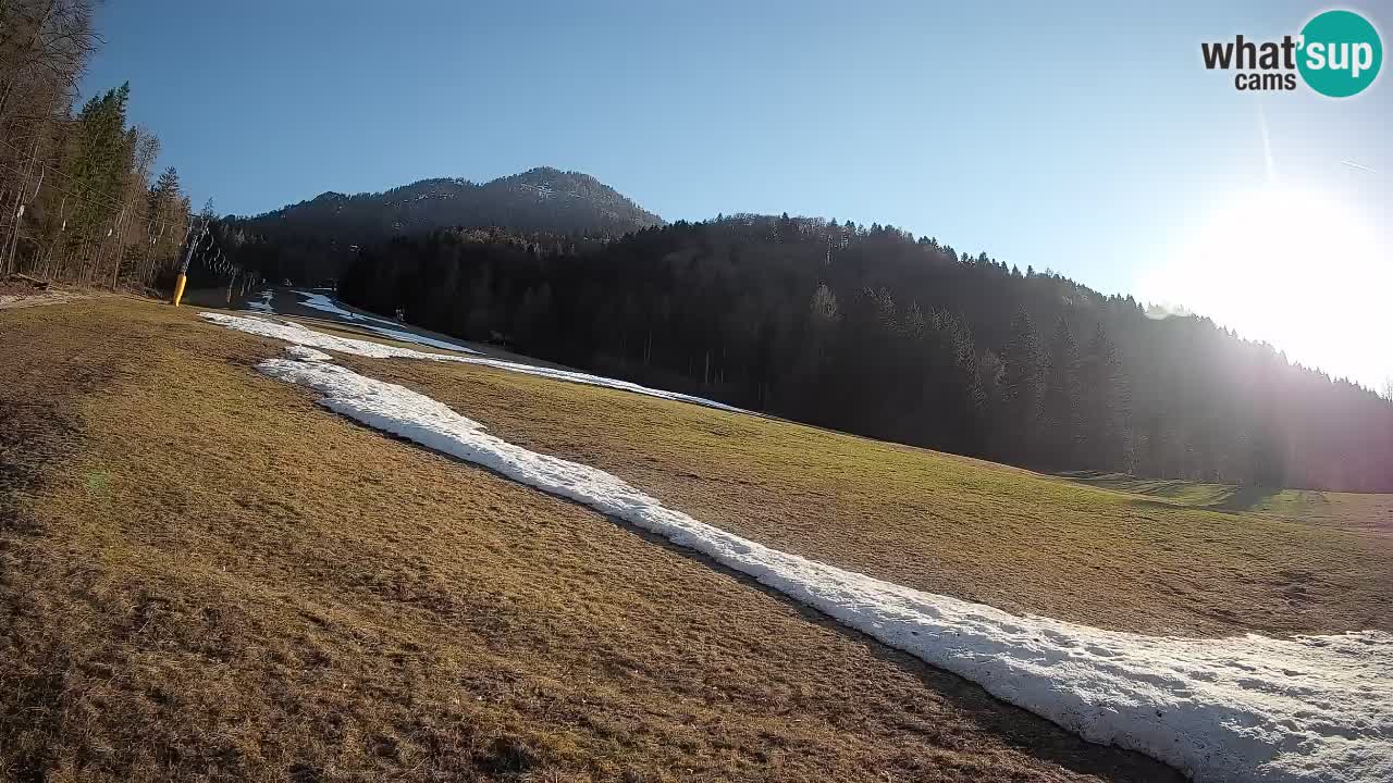 Esquí Kranjska Gora | Brsnina