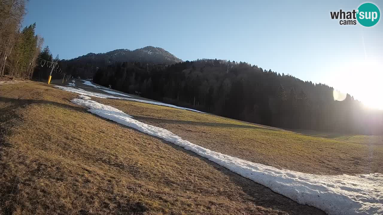 Ski Kranjska Gora | Brsnina