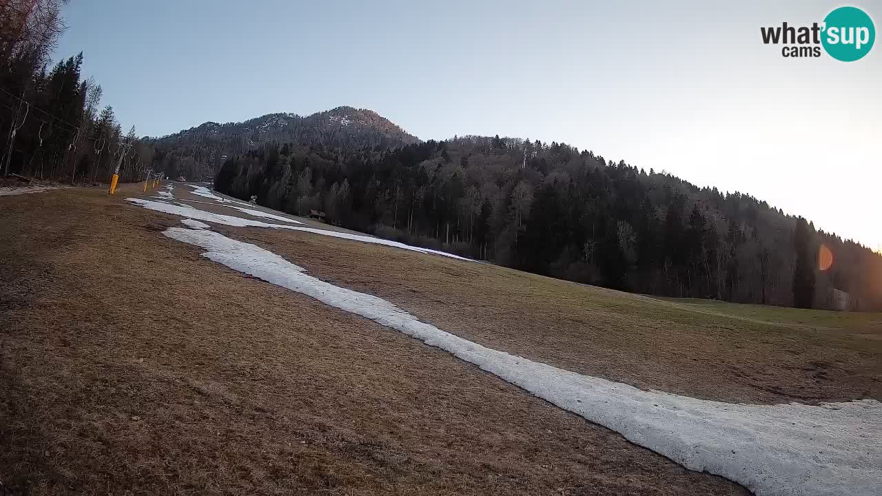 Ski Kranjska Gora | Brsnina