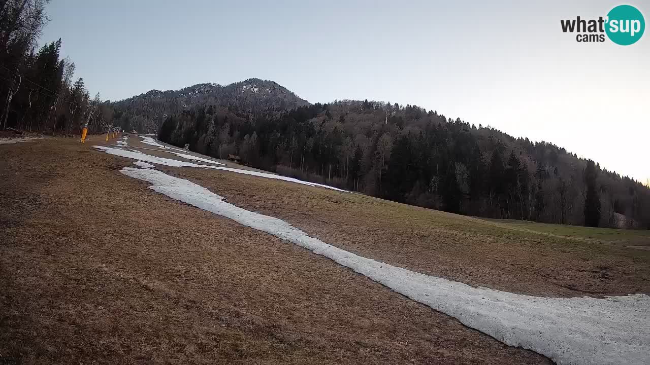 Ski Kranjska Gora | Brsnina