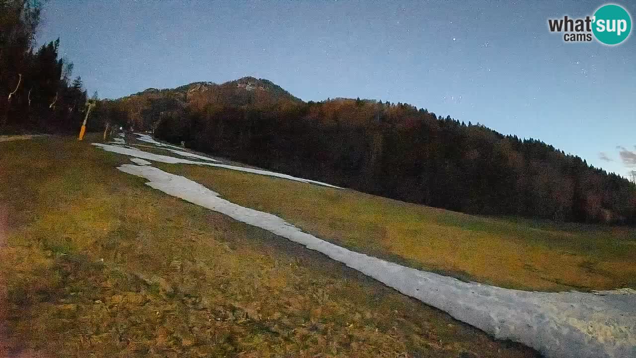 Ski Kranjska Gora | Brsnina