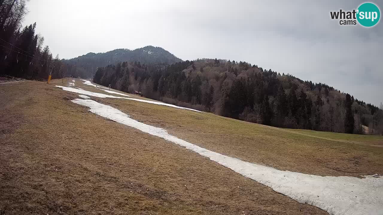 Ski Kranjska Gora | Brsnina