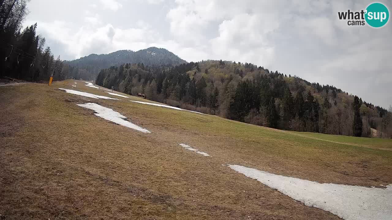 RTC Kranjska Gora | Brsnina