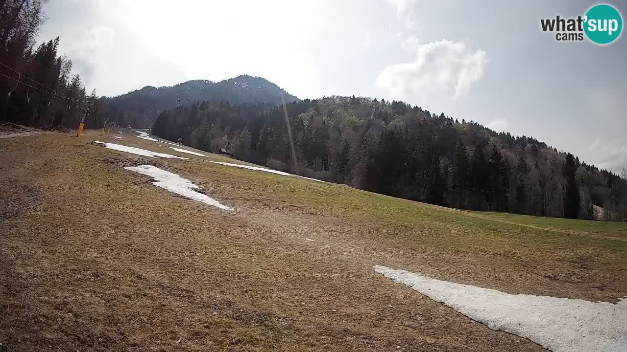 RTC Kranjska Gora | Brsnina