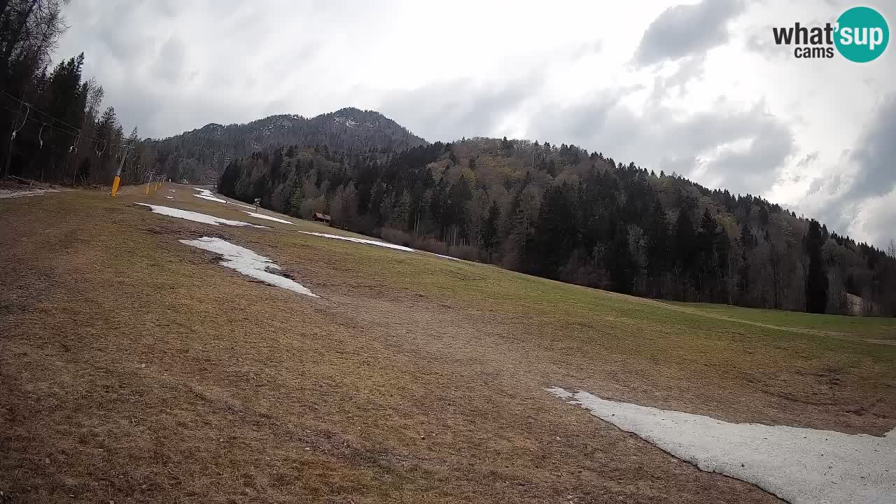 RTC Kranjska Gora | Brsnina