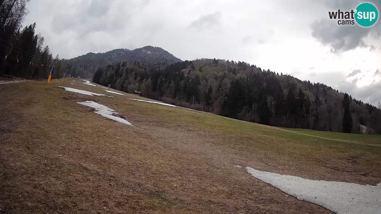 RTC Kranjska Gora | Brsnina