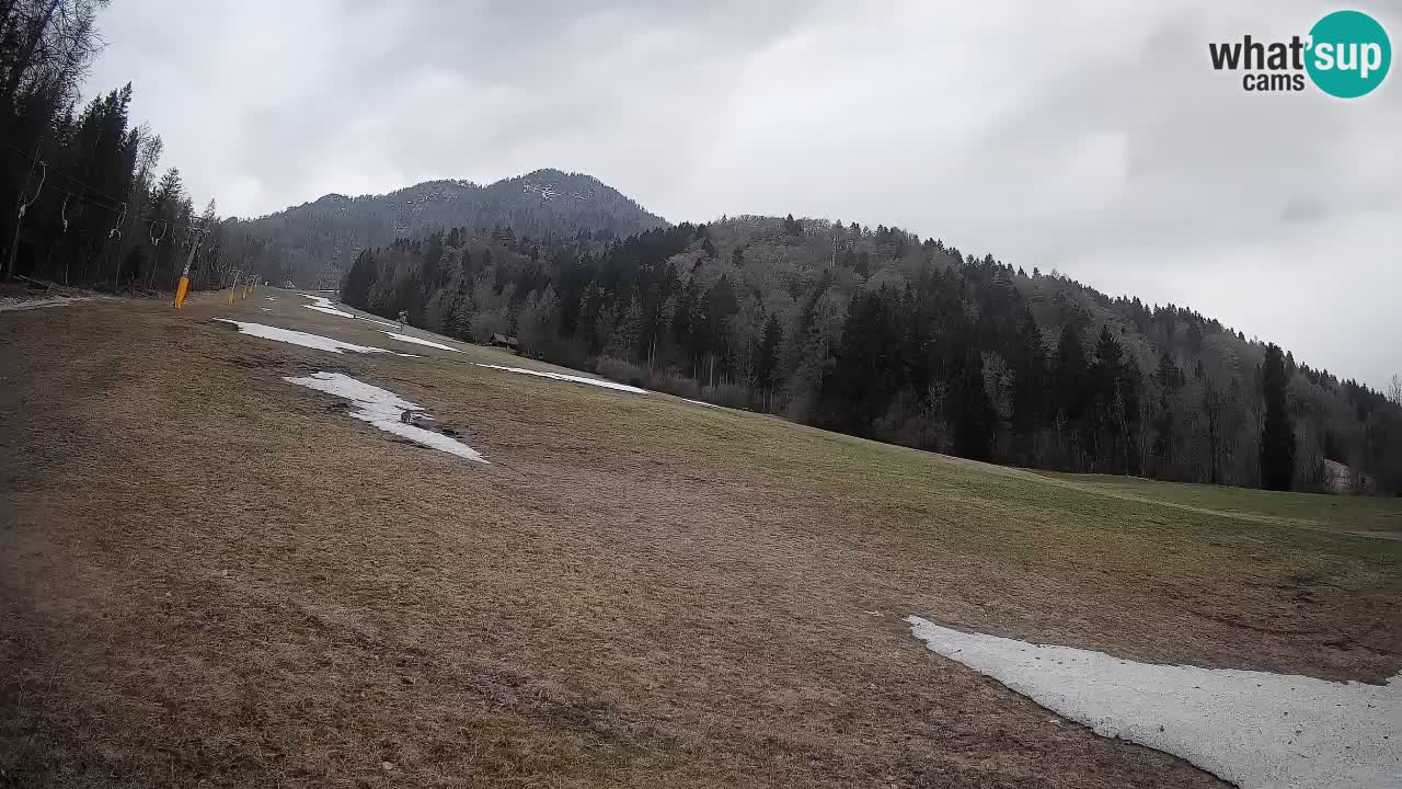 Comprensorio sciistico Kranjska Gora | Brsnina