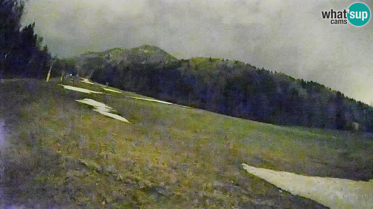 Kranjska Gora SKIJANJE | Brsnina