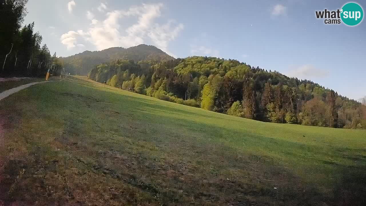 RTC Kranjska Gora | Brsnina
