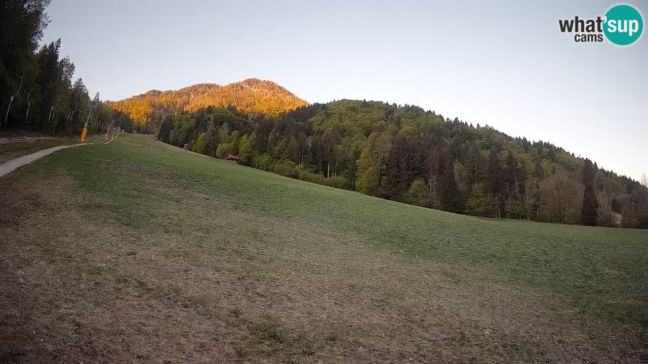 RTC Kranjska Gora | Brsnina