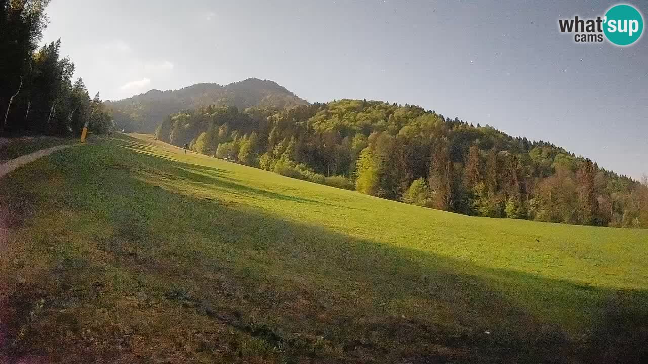 Comprensorio sciistico Kranjska Gora | Brsnina