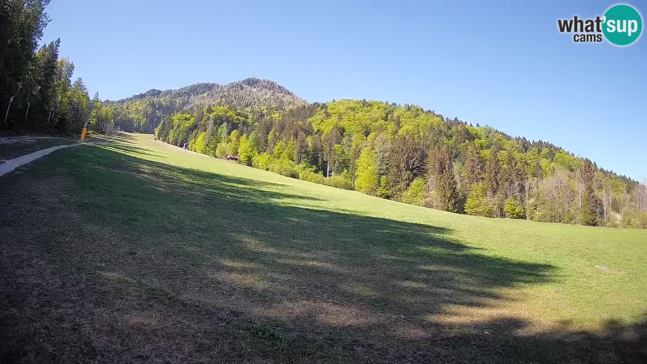 RTC Skigebiet Kranjska Gora | Brsnina