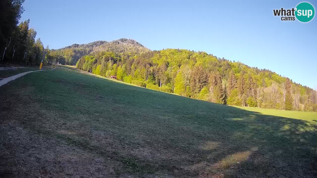 Kranjska Gora Station de ski | Brsnina