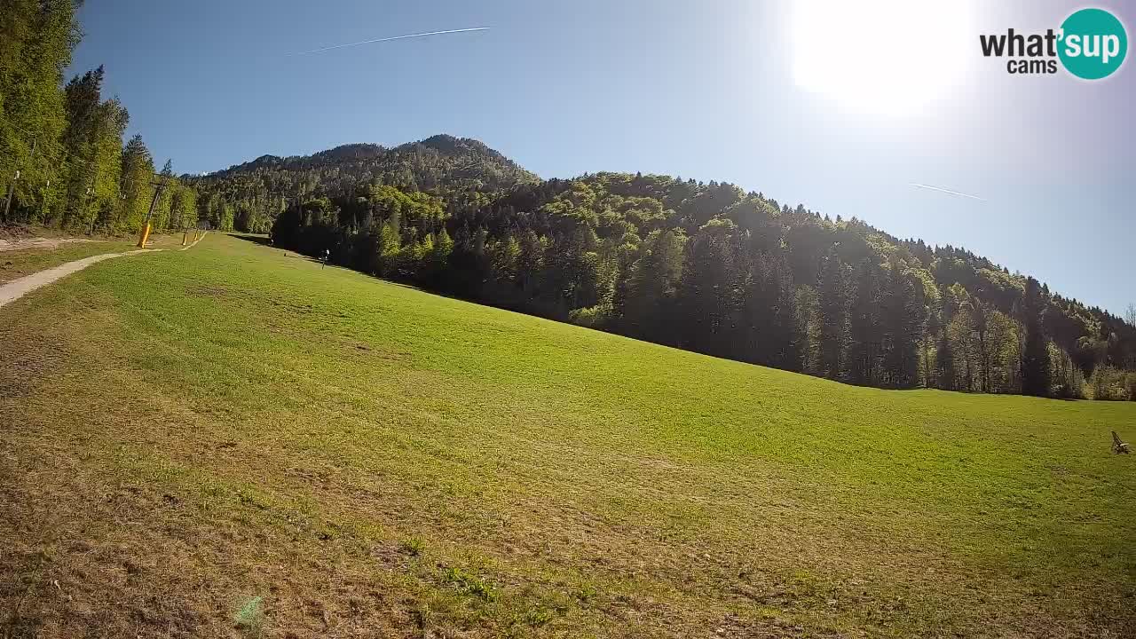 Ski Kranjska Gora | Brsnina