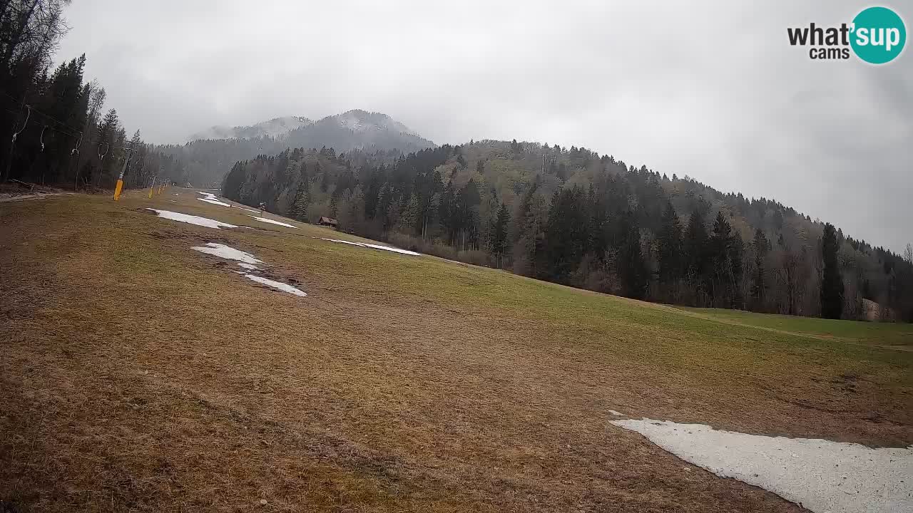Kranjska Gora SKIJANJE | Brsnina