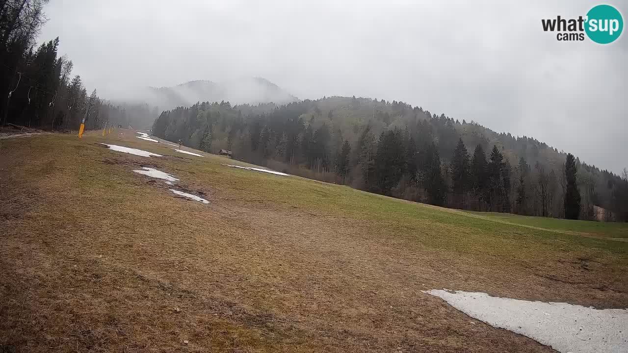 Kranjska Gora SKIJANJE | Brsnina