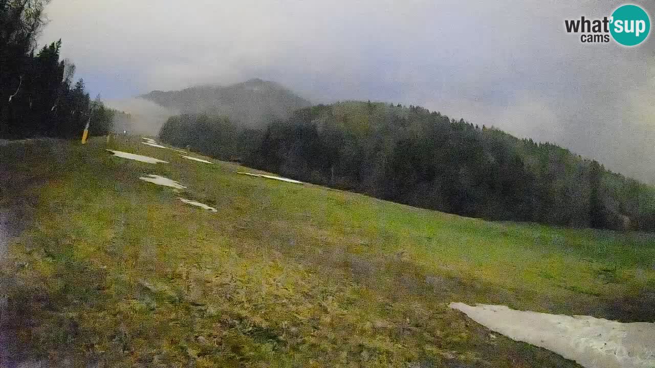 RTC Kranjska Gora | Brsnina