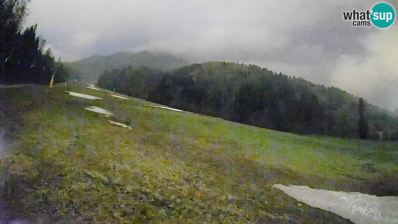 RTC Skigebiet Kranjska Gora | Brsnina