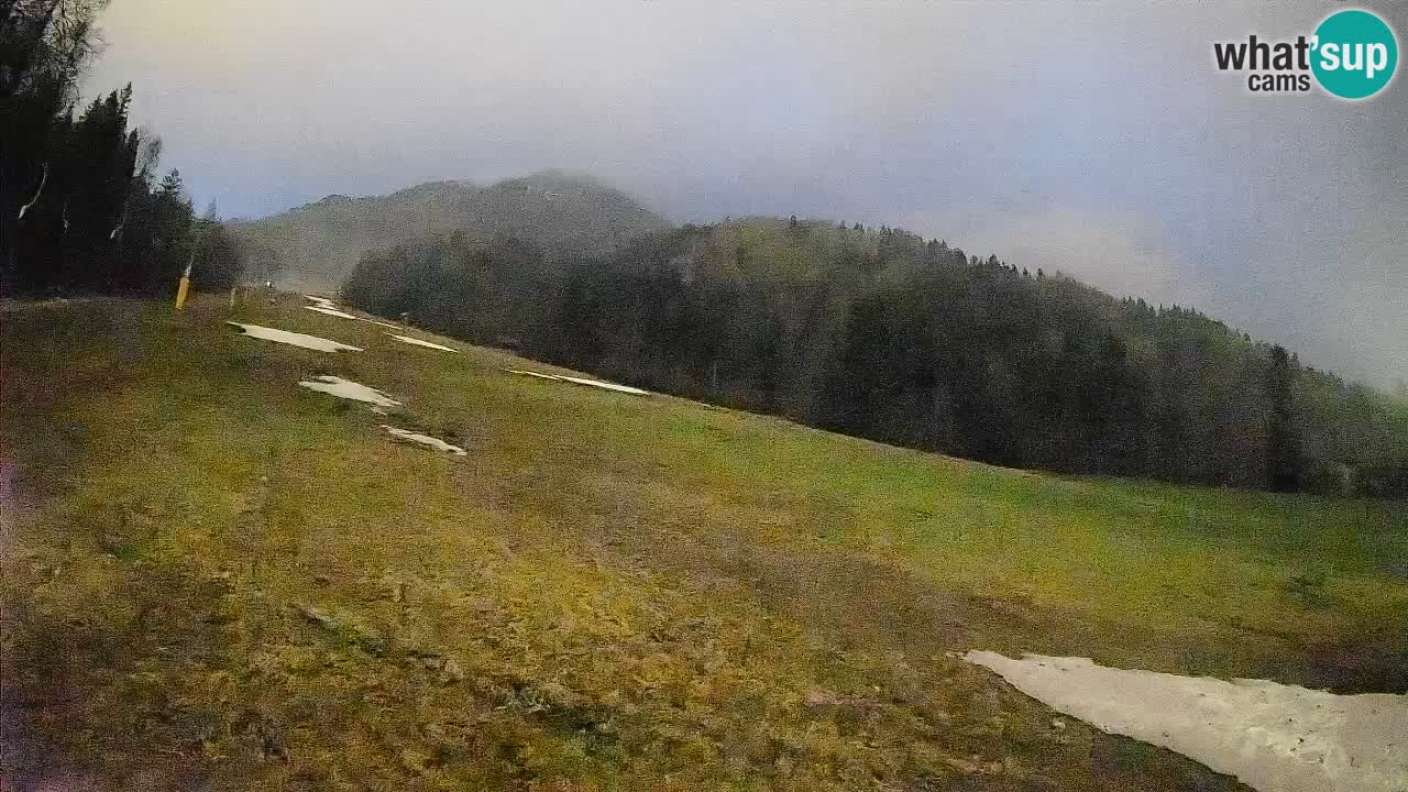 Esquí Kranjska Gora | Brsnina