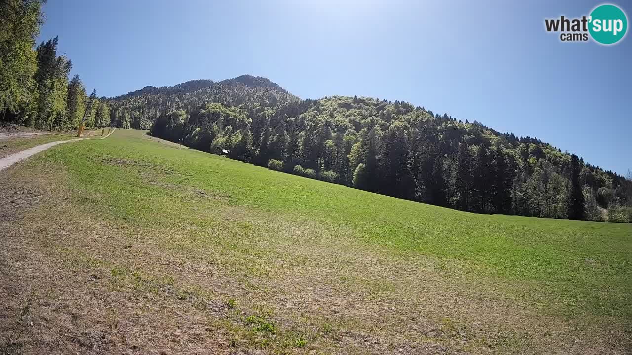 Kranjska Gora SKIJANJE | Brsnina