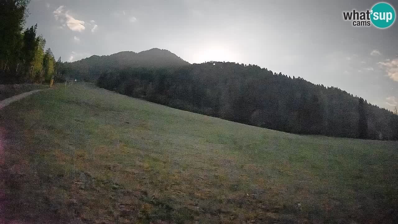 Comprensorio sciistico Kranjska Gora | Brsnina