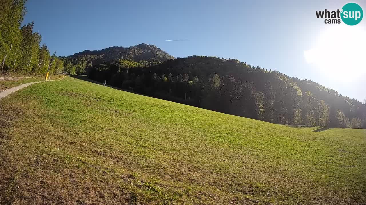 Ski Kranjska Gora | Brsnina