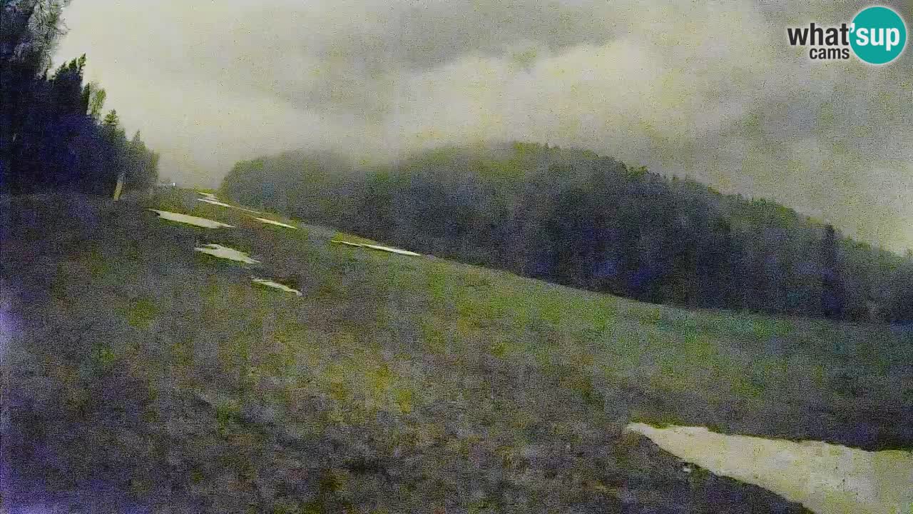 RTC Kranjska Gora | Brsnina