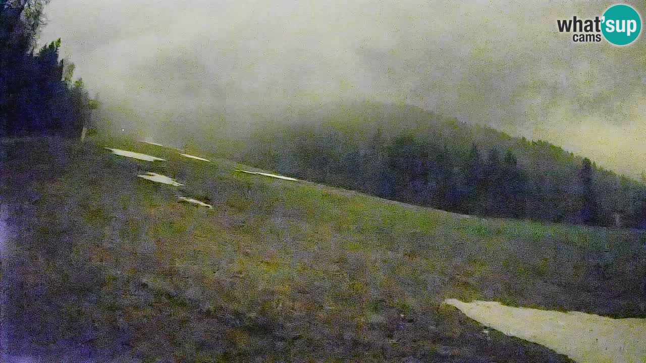 Esquí Kranjska Gora | Brsnina