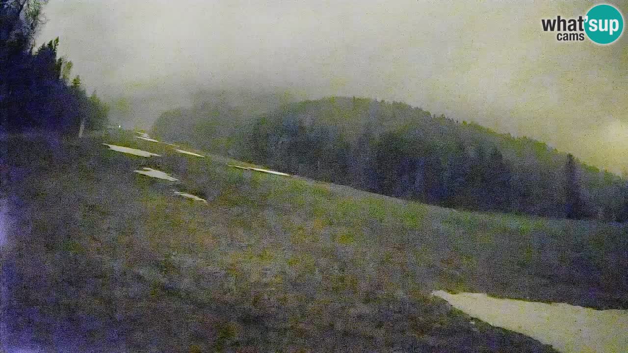 Esquí Kranjska Gora | Brsnina