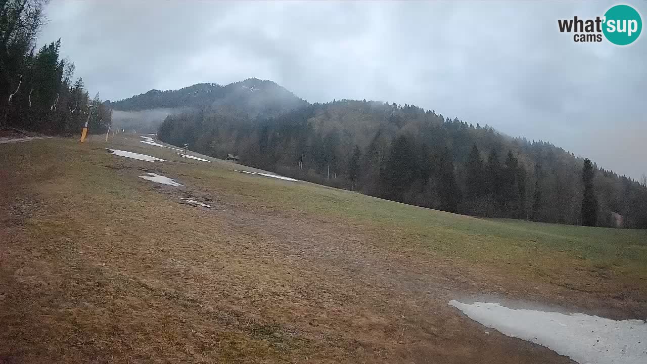 RTC Kranjska Gora | Brsnina