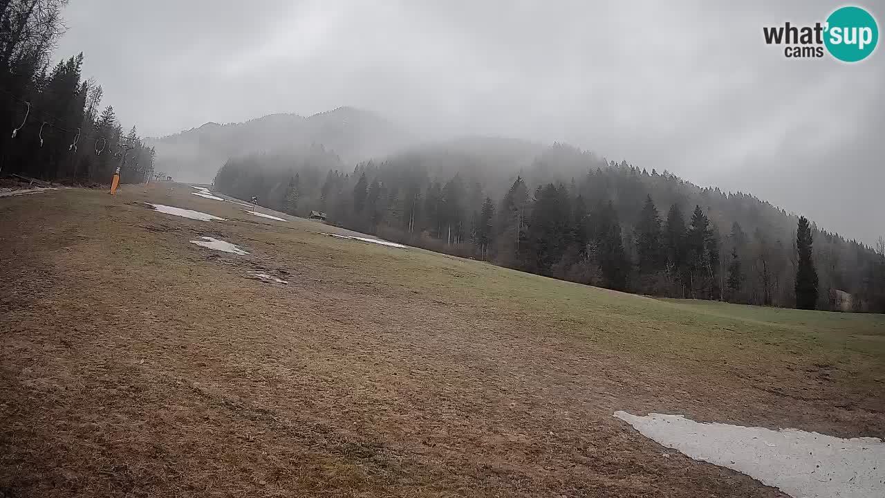 Ski Kranjska Gora | Brsnina