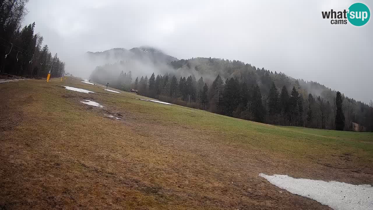 Kranjska Gora Station de ski | Brsnina