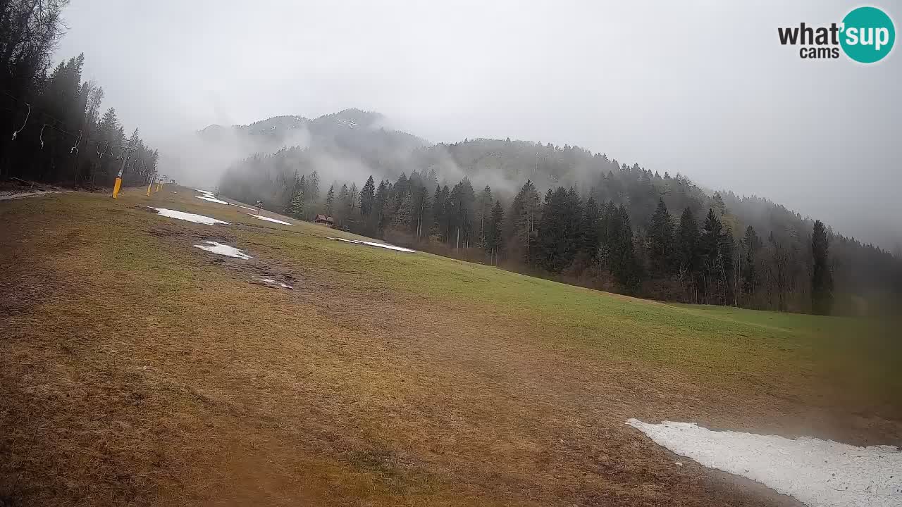 RTC Skigebiet Kranjska Gora | Brsnina