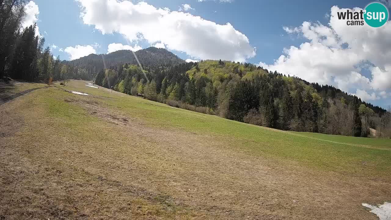 RTC Skigebiet Kranjska Gora | Brsnina